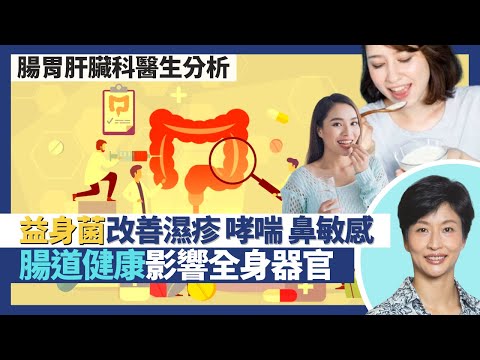 益生菌可改善濕疹、哮喘、鼻敏感、加強記憶力！100億益生菌令腸胃暢通因糖份高 飲活性乳酸菌真係有益腸道健康？腸道是第二大腦 腸道微生物影響全身器官｜王建芳醫生 腸胃肝臟科醫生蔡偉樂醫生｜人類健康研究所