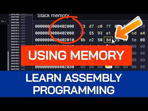 Learn Assembly: Using Memory for Beginners | x86-64 Assembly Tutorial | DATA Segment of RAM