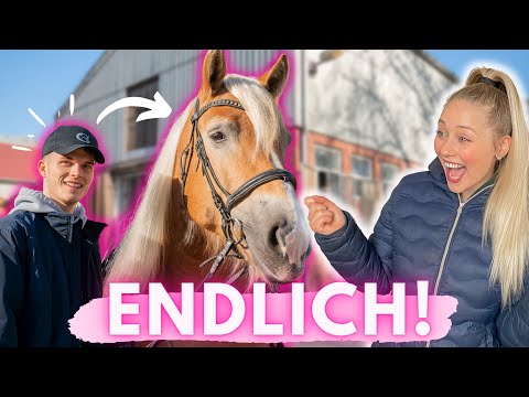 MEIN FREUND NIMMT REITSTUNDEN!!😱😍