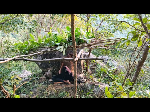 Xây dựng nơi Trú Ẩn trên tảng đá và ăn trái Đu đủ chín để Sinh tồn trong rừng 
