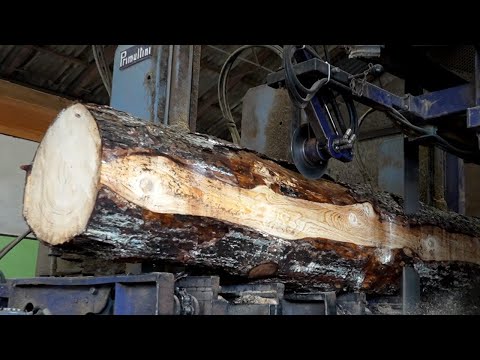 Amazing Transformation of Gigantic Trees into Building Material  (Sawmill Wood Process)
