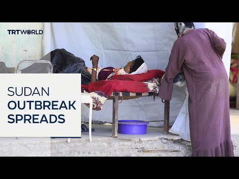 Doctors in Sudan record 1,000 cholera cases a day in Khartoum