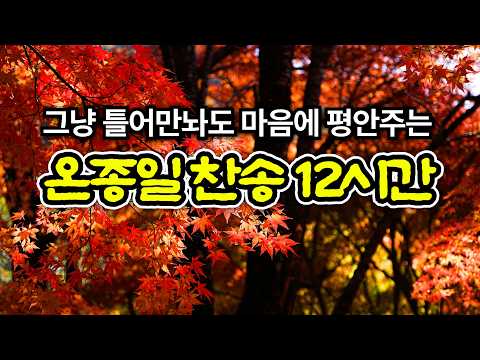 [감사찬송모음] 내 영혼이 은총입어 | 오늘의 찬송 | 고백과 기도음악 | 기도와 명상 | 눈물로 기도하며 불렀던 그날의 찬양 | 새벽기도용 | 중간광고없음 | Hymn