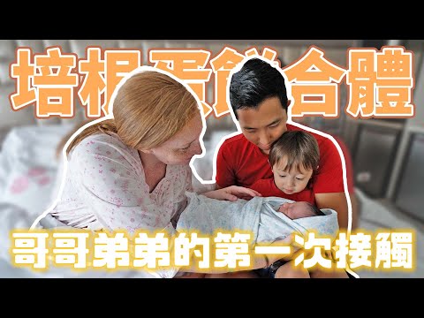 培根蛋餅初次見面!! 兩歲寶寶看見自己的弟弟會不會吃醋呢?【親子Vlog】