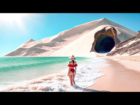 Socotra - the most alien island on Earth. Wild Yemen