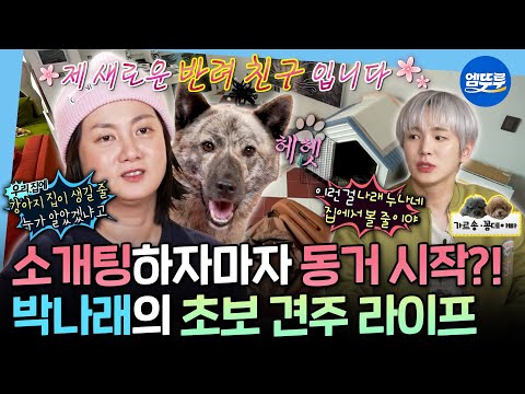 [나혼자산다] 복돌이와의 동거 시작🐶 조부모님이 키우시던 강아지와 가족이 된 박나래ㅣ#박나래 MBC251121방송