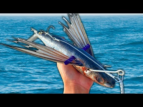 Using FLYING Fish to Catch Bluefin Tuna (Catch Clean Cook)