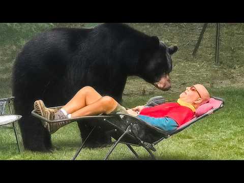 When Backyard Animal Secrets Go Viral 😁 Funniest Animal Videos 2025