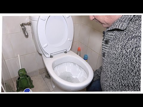 Standard toilet replacement