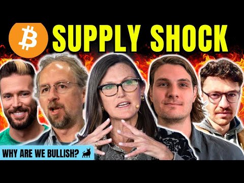 $2.4M Bitcoin INCOMING! – Major Central Bank FORCED To Go ALL IN | Adam Back James Check Eric Yakes