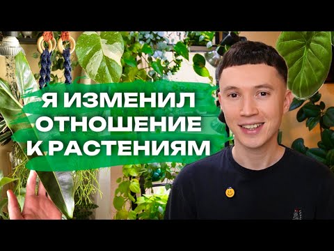 Less Stress and MORE FUN with Houseplants » My Approach and Attitude