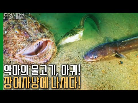 악마의 물고기 아귀! 장어사냥에 나서다! [환경스페셜-바다의 사냥꾼] / KBS 20120502 방송