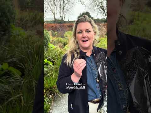 How to spend a rainy day in Cork City. #ireland #irishtravel #cork #tourireland