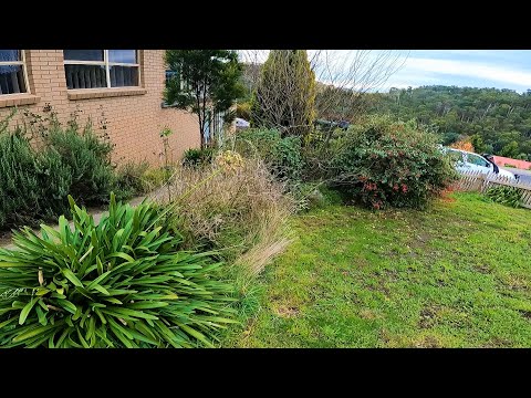 Can we RESTORE this crazy DISASTER | Massively OVERGROWN Garden!