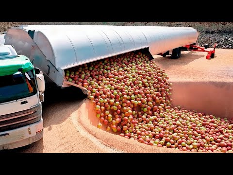 Польша Выбросила Тонны Яблочной Кожуры на Поля и Оставила на 2 Месяца. Результат Был Безумным