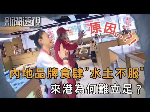 過江龍食肆搶灘香港 如何應對結業潮？｜新聞 | 時事 | 資訊節目 | 新聞透視｜News Magazine