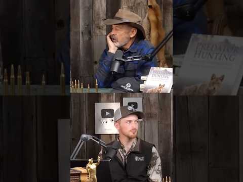 Is 223 Rem. Best AR-15 Deer Cartridge?