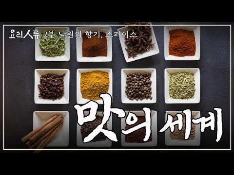 향신료 때문에 전쟁도 했던 인류.. 최초의 맛을 찾아서｜요리인류 2부 FULL｜[다큐여행] KBS 20140327