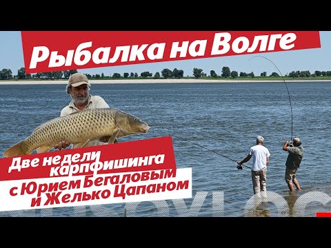 Две недели рыбалки на Волге с Ю. Бегаловым и Ж. Цапаном