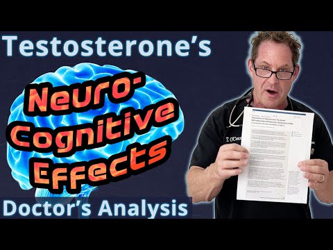 Testosterone's Neurocognitive Effects - Doctor's Analysis