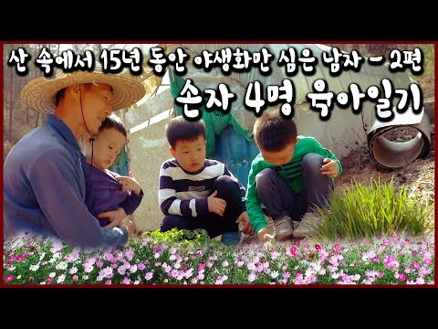 아이를 '꽃'처럼 키운 다는 것은 곱게 키우는 것이 아니다. 야생화 농부의 손자 육아 1년 간의 기록 (KBS_2019.05.05)