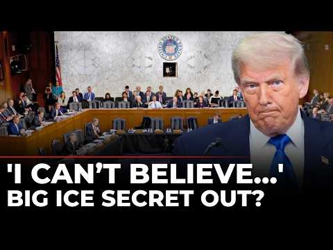 US Congress LIVE: ‘Trump Has Turned ICE into…’ Lawmaker Explodes at Senate Hearing | US News Latest