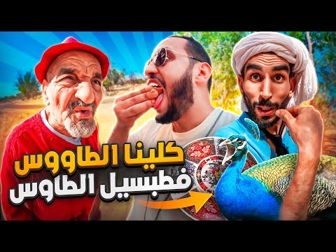 كلينا الطاوس فطبسيل الطاوس!😳🤣
