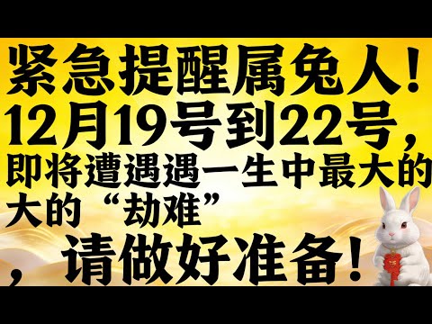 緊急提醒屬兔人！ 12月19號到22號，即將遭遇一生中最大的“劫難”，請做好準備！
