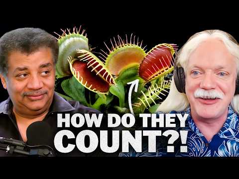 The Plant Intelligence Show, with Simon Gilroy