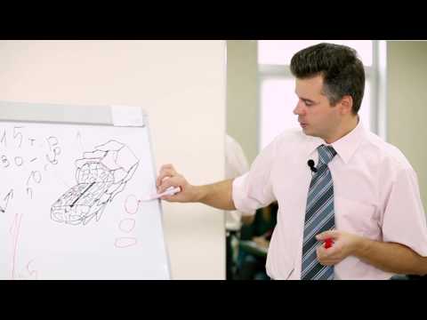 Сколько может зарабатывать парикмахер с нуля? Лекция 1