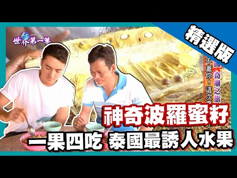 【泰國】熱帶水果皇后波羅蜜 一果四吃果核可煲湯｜《世界第一等》632集精華版