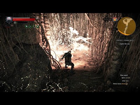 The Witcher 3: Wild Hunt - Strange Beast