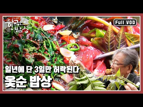 [한국인의밥상★풀버전] 물 맑고, 땅이 좋지 않으면 함부로 자라지 않는 예민한 산나물! “무서워서 못 먹나, 없어서 못 먹지 ‘옻순’” (KBS 20140605 방송)