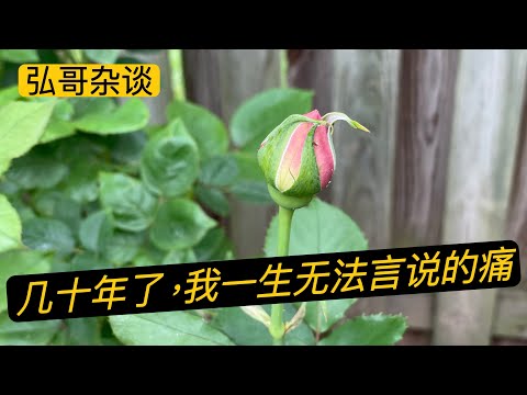 “ 您正在打开一个盲盒，封尘半个多世纪的一个沉重的匣子。” 花甲之年的女性网友来信。而且这一次，我看哭了。。。。。。