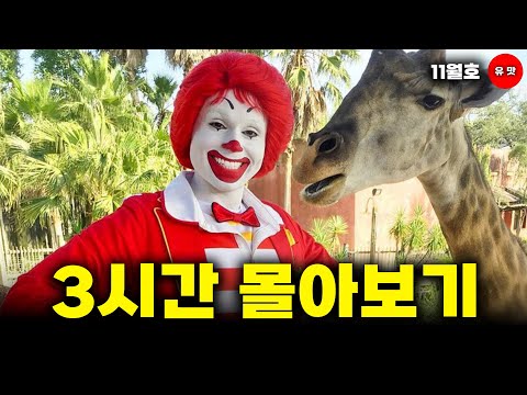 (수면용) 3시간 동안 듣는 미국 가공식품 이야기ㅣ유맛 11월호