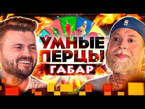 Габар на шоу Умные перцы / Самые ОСТРЫЕ вопросы про шоу Ивлеевой, Беларусь и Жгучий Баттл