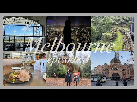 🇦🇺墨爾本Ep.3｜澳洲自由行：Puffing Billy 普芬比利鐵路蒸汽火車 + 雅拉河谷LVMH葡萄酒莊 + 墨爾本動物園 + 88樓觀景台｜Shila Lee