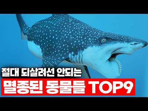 이 동물들이 부활하면 인류는 절대 살아남지 못합니다.