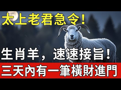 太上老君急令！生肖羊，速速接旨！三天內必有一筆橫財進家門，不接就沒了！|福運生肖 #生肖 #運勢 #風水 #財運 #命理