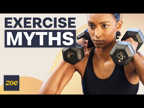 Harvard professor: exercise myth-busting + daily tips for long-term health | Prof. Daniel Lieberman