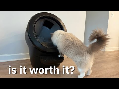 Litter Robot 4 Pros & Cons (2 years later)
