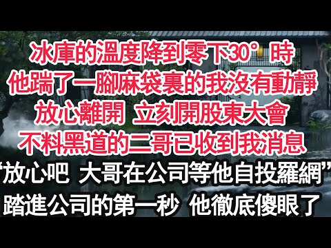 冰庫的溫度降到零下30°時他踹了一腳麻袋裏的我沒有動靜放心離開 立刻開股東大會不料黑道的二哥已收到我消息“放心吧 大哥在公司等他自投羅網”踏進公司的第一秒 他徹底傻眼了【顧亞男】【大女主】【婚姻自主】
