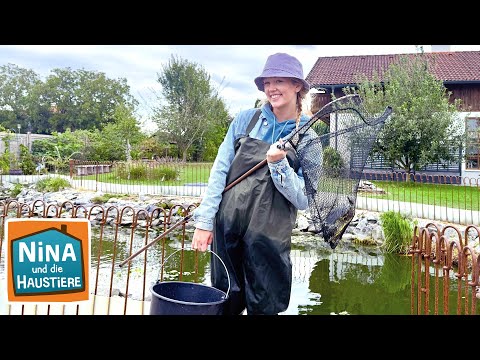 Wasserschildkröte | Information für Kinder | Nina und die Haustiere