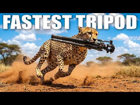 9 out of 10 cheetahs recommend this tripod