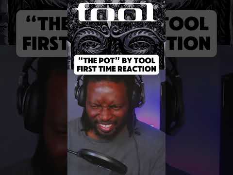 “The Pot” by TOOL |  First Time Reaction! #shorts