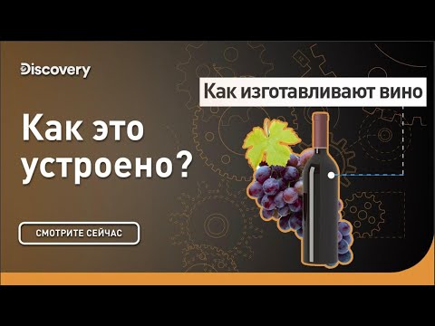 Как изготавливают вино | Как это сделано? | Discovery Channel