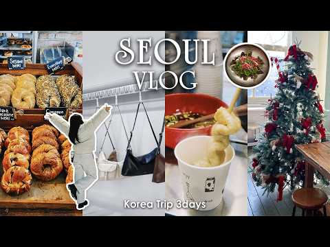 [ 韓国vlog ] 念願の初韓国🇰🇷ソウル2泊3日┊冬の韓国┊東大門,明洞,安国,聖水,江南,狎鴎亭ロデオ┊ジンくんセンイル🐹🎂꙳⋆┊ユッケビビンバ┊爆買い🛍️女子旅 [ SUB/KOR ]