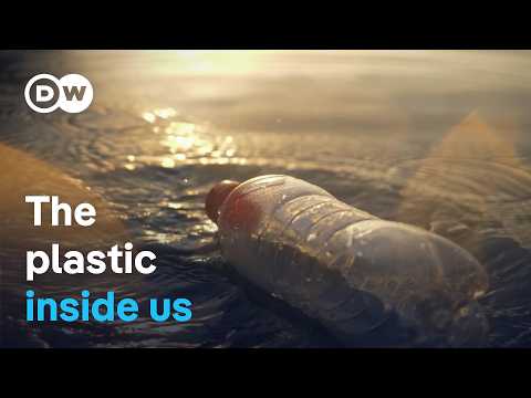 Nano- and microplastics: The invisible danger to the body | DW Documentary