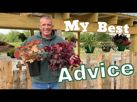 Starting a Nursery Business - The best advice I can give