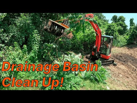 Clearing out a Overgrown Drainage Basin with Forestry Mulching !